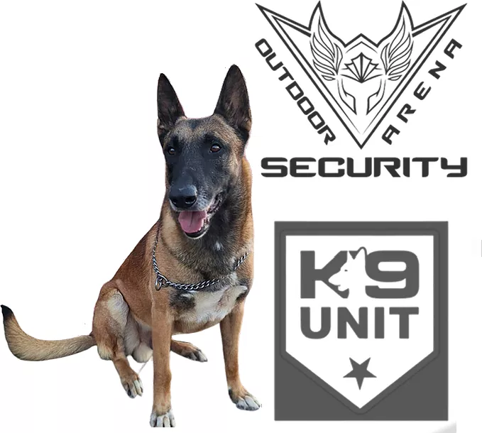Meet the K9 Unit